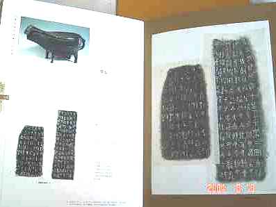 28253.jpg