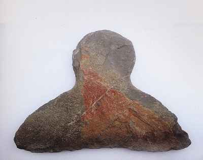 4154902.jpg