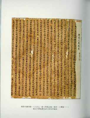 4695302.jpg