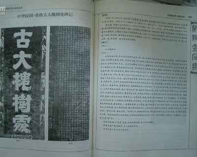 4906902.jpg