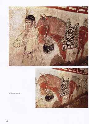 542051.jpg