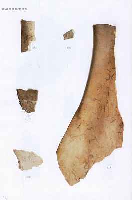5704601.jpg